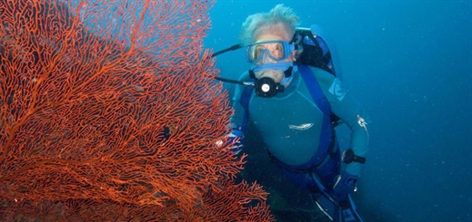 Carnival Corporation partners with oceans expert Jean-Michel Cousteau