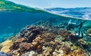 Inspiring itineraries for the future of cruising