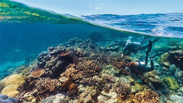 Inspiring itineraries for the future of cruising