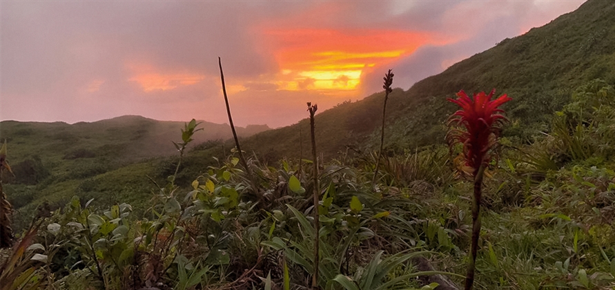 Embarking on a Caribbean journey in the Guadeloupe Islands