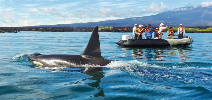 Exploring the Galapagos Islands with Metropolitan Touring