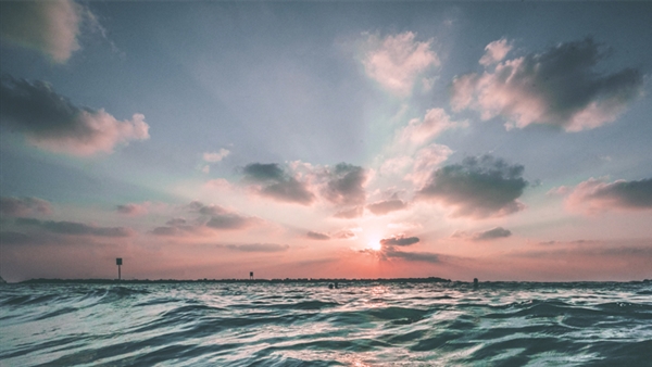 CLIA members make substantial progress towards decarbonisation goal