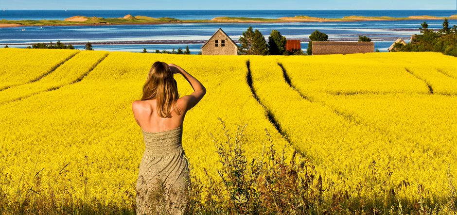 A Canadian island with a lot to offer for cruise visitors