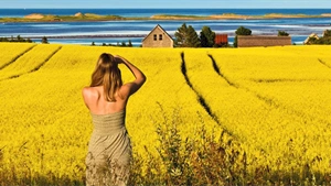 A Canadian island with a lot to offer for cruise visitors