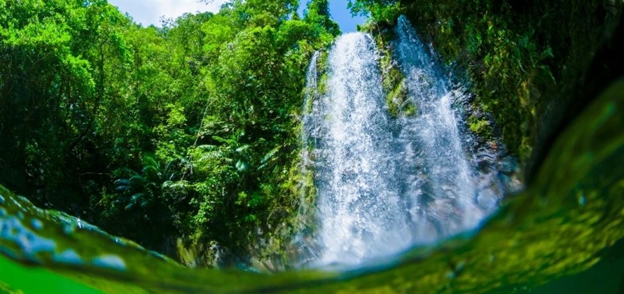 North Okinawa Island: An untouched paradise