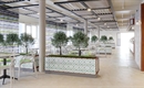 Ambassador Cruise Line creates new restaurant to honour Michelle Lupino