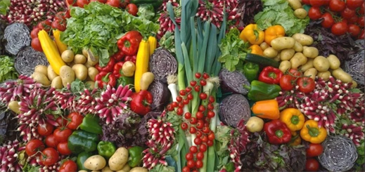 AE Expeditions to offer new sustainable dining options