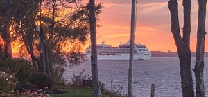 Insignia’s departure marks end of 2023 season for Port Charlottetown