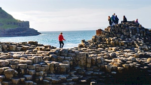 Discover what’s naturally appealing to cruise passengers