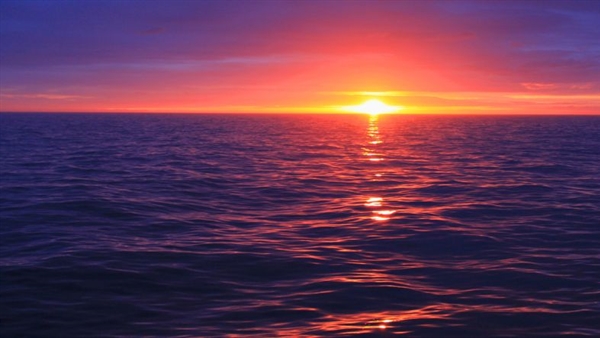 Cruise Saudi’s Aroya Cruises partners with Versonix