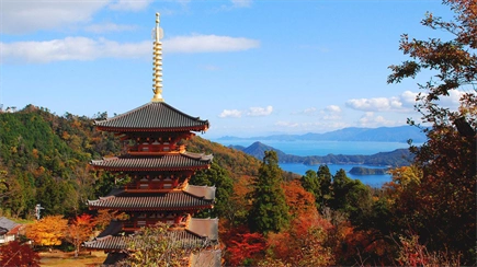 Cruising to Kyoto: A voyage into the heart of Japan