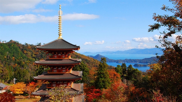 Cruising to Kyoto: A voyage into the heart of Japan