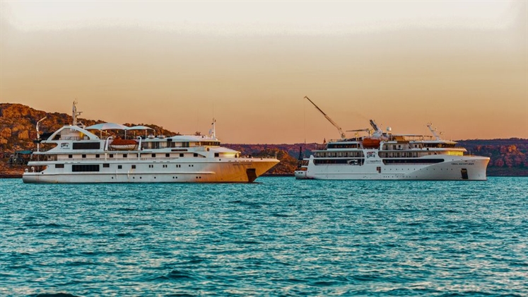 cruise ships going to australia