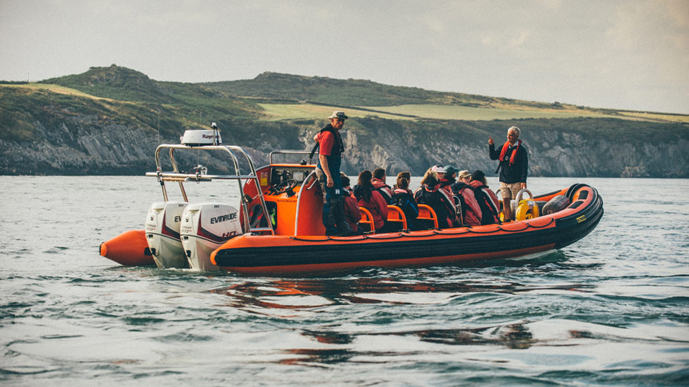 Wales: arrive as a tourist, leave as a local