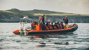 Wales: arrive as a tourist, leave as a local