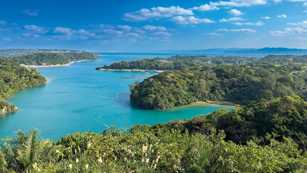Can Japan become Asia’s cruise hub by 2029?