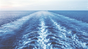 MXP receives eu-LISA certification for System-to-System carrier interface