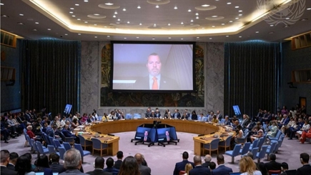 IMO secretary-general urges global cooperation on maritime security at UN Security Council