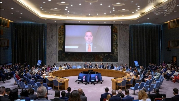 IMO secretary-general urges global cooperation on maritime security at UN Security Council