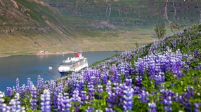 Carnival Cruise Line’s Ugo Savino on how itinerary diversity is driving the next wave of cruise industry growth