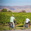 Within a 30-minute drive, visitors can take a ride through the renowned Marlborough wine region