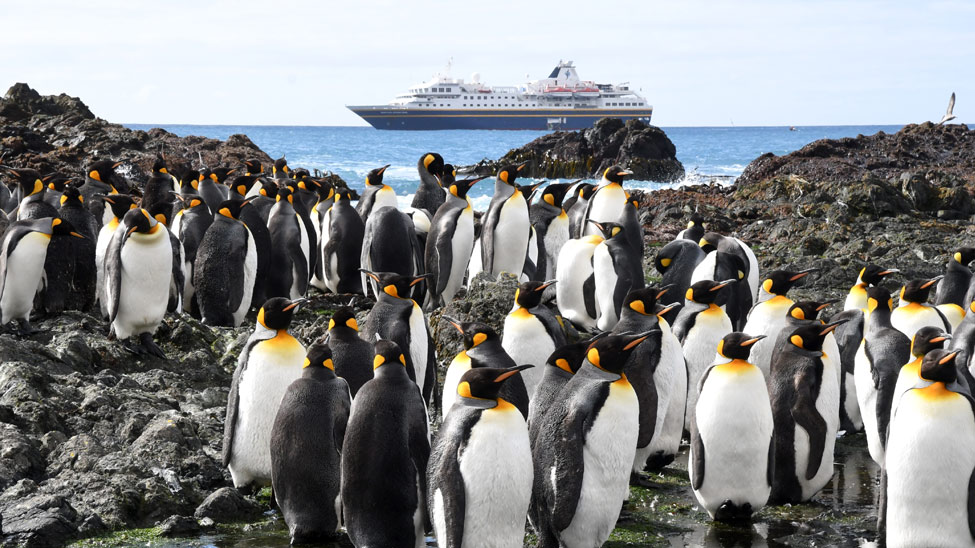 Heritage Expeditions: voyages that advance science