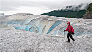 North America cruises: Exploring Caribbean, Alaska and Canadian opportunities