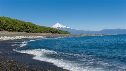 A journey through Japan: exploring Tokyo and the Pacific Coast