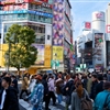 Cruise guests can walk over the famous Shibuya Crossing while in Tokyo (credit: TCVB) 