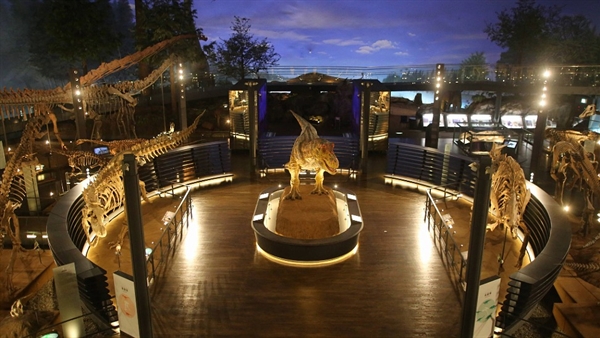 A journey through Japan: exploring hidden gems in Fukui Prefecture