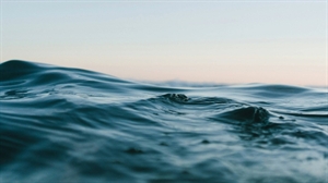 Interferry welcomes EU Industrial Maritime Strategy to reinvest ETS revenues