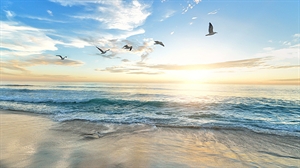 MedCruise launches study to evaluate contribution of cruise tourism