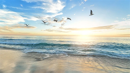 MedCruise launches study to evaluate contribution of cruise tourism