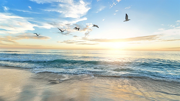 MedCruise launches study to evaluate contribution of cruise tourism