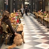 Guests looking for relaxation can explore Cardiff’s seven historic shopping arcades (Photo: Visit Wales)