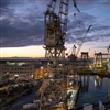 Early engagement with RINA allows shipowners to navigate evolving rules and alternative fuel requirements effectively (Photo: RINA)