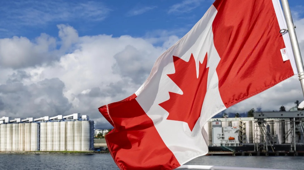 Port of Vancouver on track for record cruise season