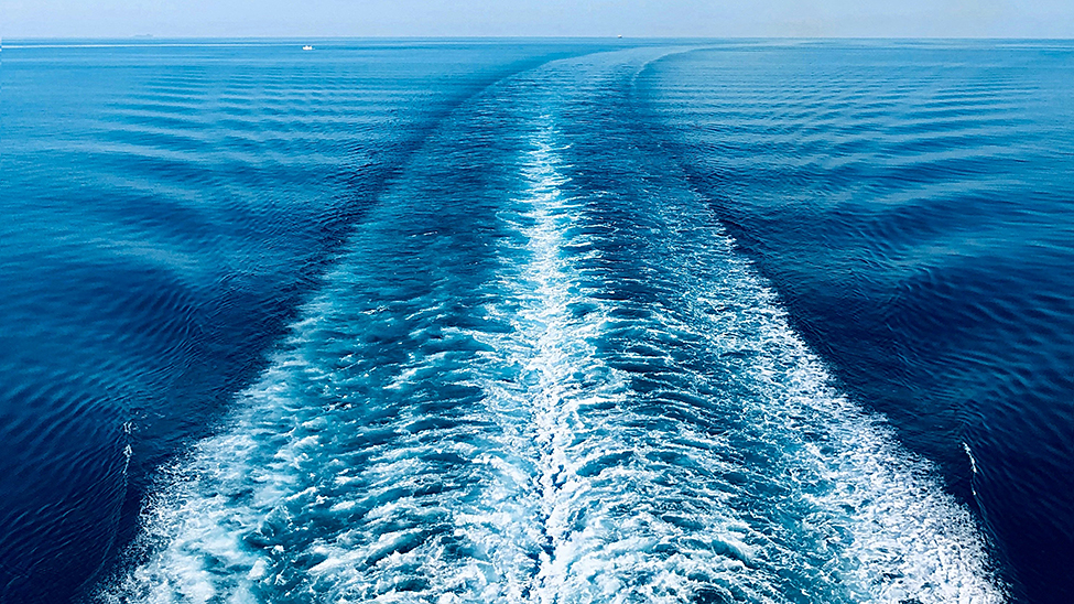 Ambassador Cruise Line to install shore power system onboard Renaissance