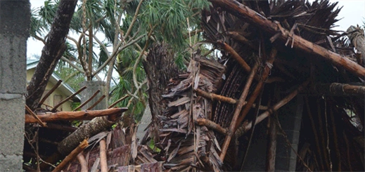 Carnival Australia donates to Vanuatu cyclone relief effort