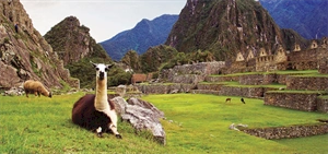 Silversea to offer Grand Voyages round South America in 2017