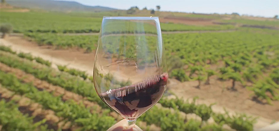 Promotional video shows off local attractions in Valencia