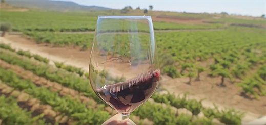Promotional video shows off local attractions in Valencia