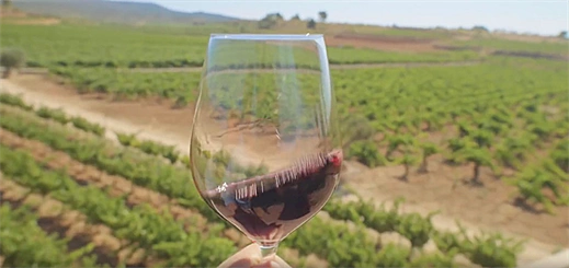 Promotional video shows off local attractions in Valencia