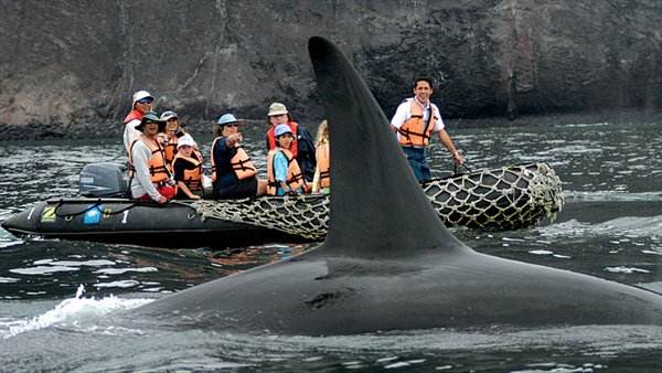 Lindblad Expeditions to offer its first short cruises to Galápagos Islands