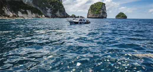 Bacardi and Lonely Whale to cut one billion plastic straws by 2020