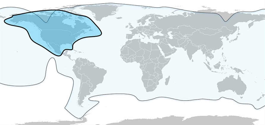 Marlink adds satellite capacity to global Sealink VSAT network