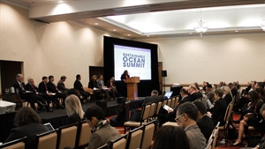 What should you expect at the Sustainable Ocean Summit?