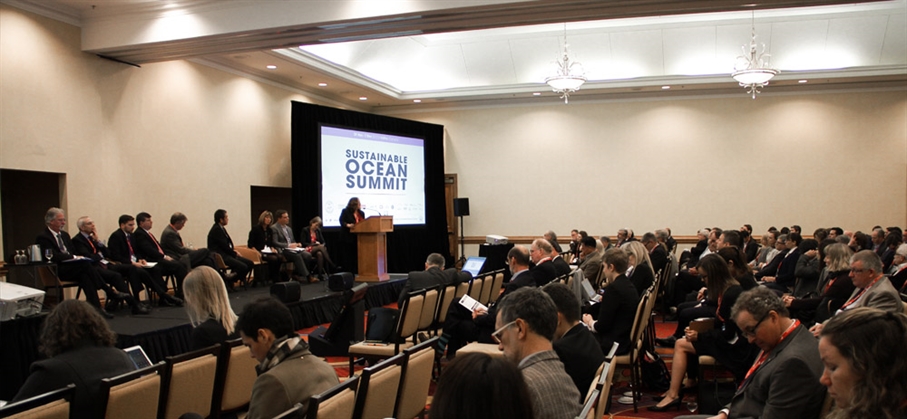 What should you expect at the Sustainable Ocean Summit?