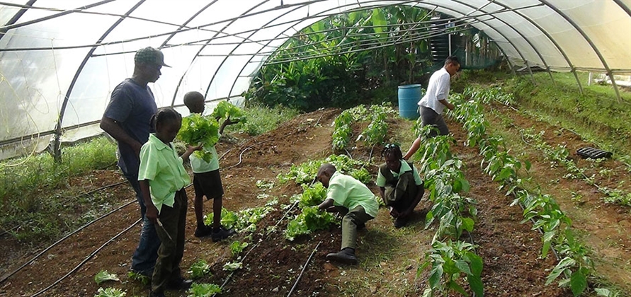 Fred. Olsen creates ‘voluntourism’ shore excursions in the Caribbean