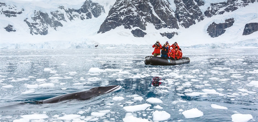 National Geographic Endurance To Offer New Antarctica Cruises